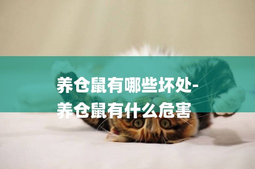 養倉鼠有哪些壞處-
養倉鼠有什么危害