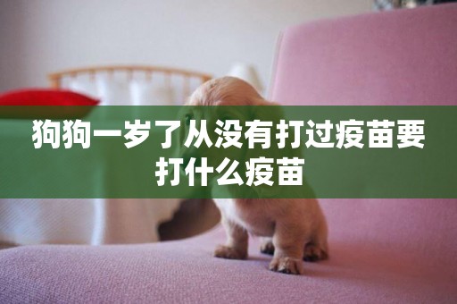 狗狗一歲了從沒有打過疫苗要打什么疫苗