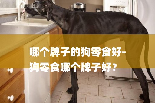 哪個牌子的狗零食好-
狗零食哪個牌子好？