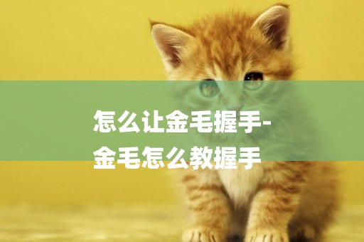 怎么讓金毛握手-
金毛怎么教握手