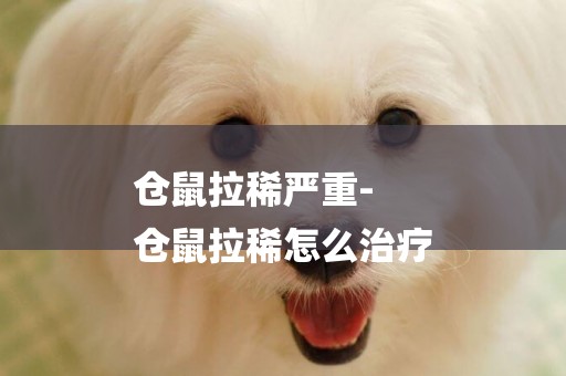 倉鼠拉稀嚴重-
倉鼠拉稀怎么治療