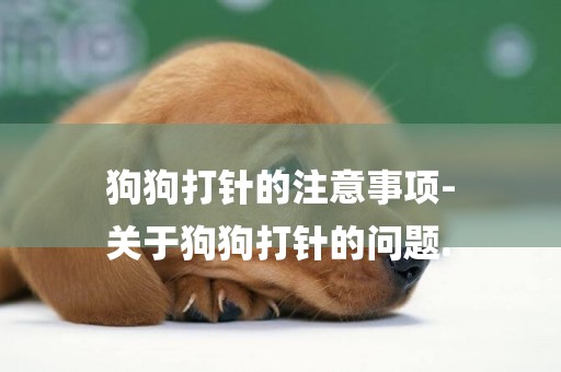 狗狗打針的注意事項-
關于狗狗打針的問題.