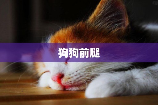 狗狗前腿