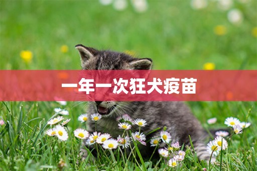 一年一次狂犬疫苗