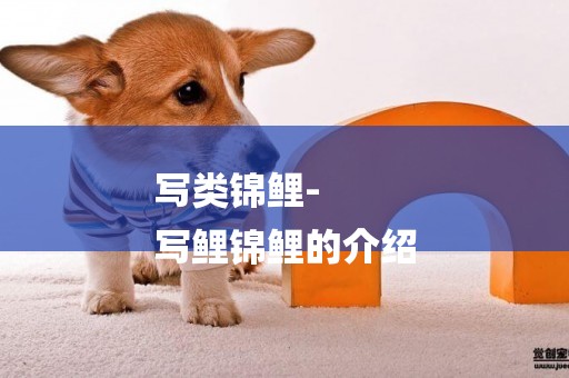 寫類錦鯉-
寫鯉錦鯉的介紹