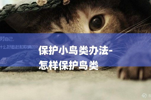保護小鳥類辦法-
怎樣保護鳥類