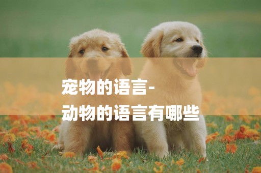 寵物的語言-
動物的語言有哪些