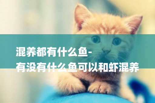 混養都有什么魚-
有沒有什么魚可以和蝦混養