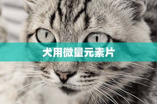 犬用微量元素片
