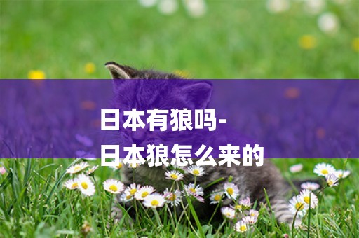 日本有狼嗎-
日本狼怎么來的