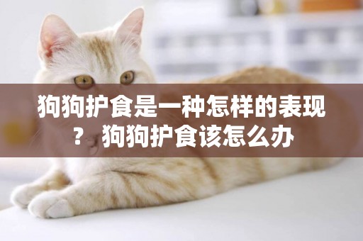 狗狗護食是一種怎樣的表現？ 狗狗護食該怎么辦