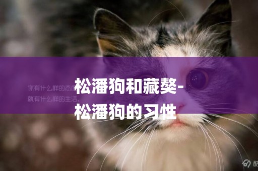松潘狗和藏獒-
松潘狗的習性