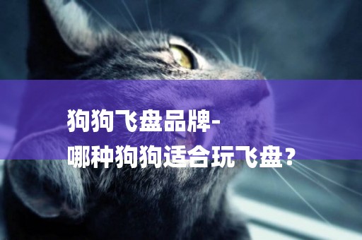 狗狗飛盤品牌-
哪種狗狗適合玩飛盤？