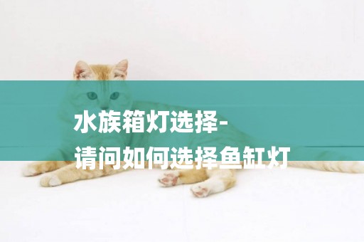 水族箱燈選擇-
請問如何選擇魚缸燈