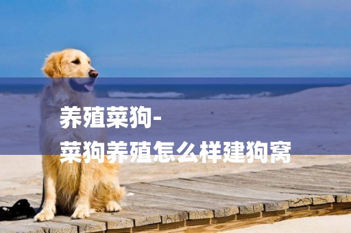 養殖菜狗-
菜狗養殖怎么樣建狗窩