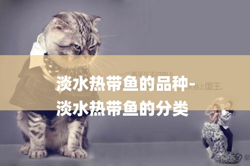 淡水熱帶魚的品種-
淡水熱帶魚的分類