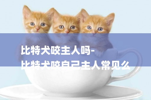比特犬咬主人嗎-
比特犬咬自己主人常見么