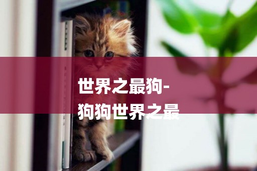 世界之最狗-
狗狗世界之最