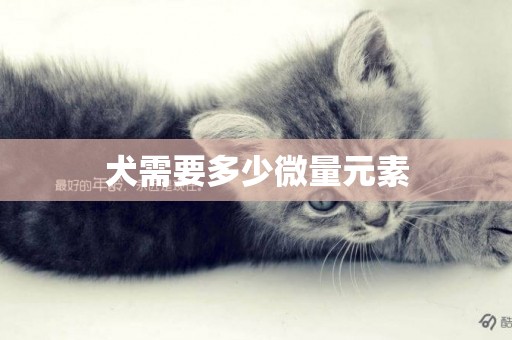 犬需要多少微量元素
