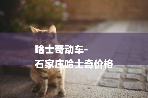 哈士奇動車-
石家莊哈士奇價格