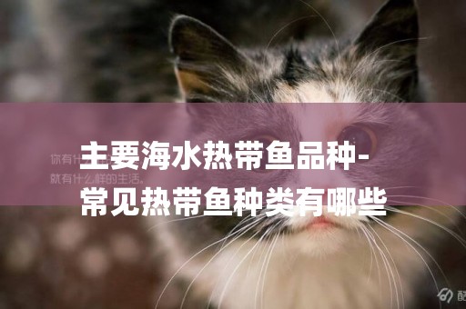 主要海水熱帶魚品種-
常見熱帶魚種類有哪些
