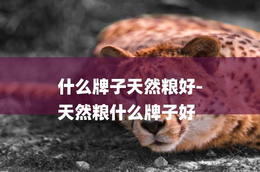 什么牌子天然糧好-
天然糧什么牌子好