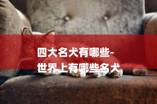 四大名犬有哪些-
世界上有哪些名犬