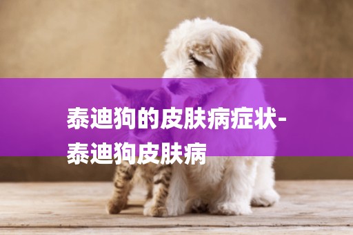 泰迪狗的皮膚病癥狀-
泰迪狗皮膚病