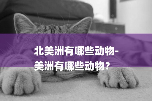 北美洲有哪些動物-
美洲有哪些動物？