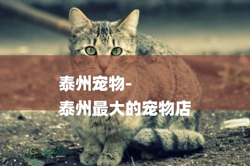 泰州寵物-
泰州最大的寵物店