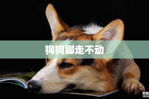 狗狗腳走不動