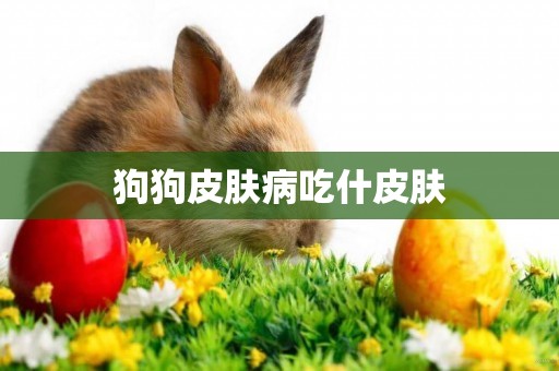 狗狗皮膚病吃什皮膚