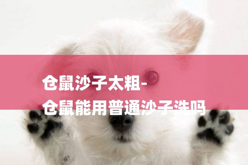倉鼠沙子太粗-
倉鼠能用普通沙子洗嗎