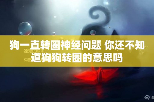 狗一直轉圈神經問題 你還不知道狗狗轉圈的意思嗎