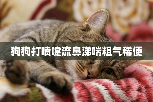 狗狗打噴嚏流鼻涕喘粗氣稀便