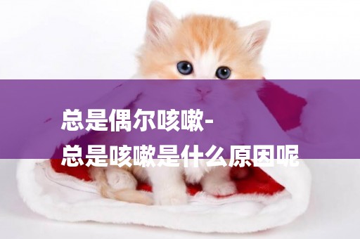 總是偶爾咳嗽-
總是咳嗽是什么原因呢