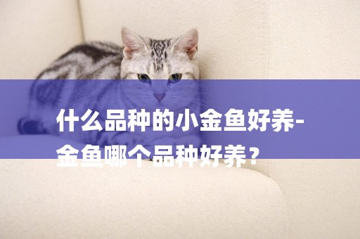 什么品種的小金魚好養-
金魚哪個品種好養？