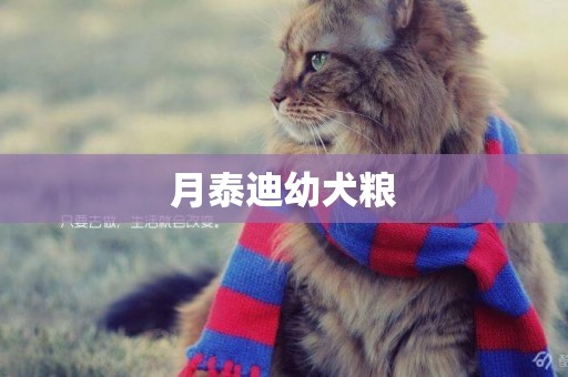 月泰迪幼犬糧