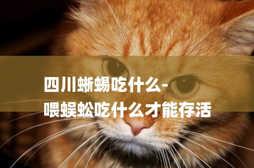 四川蜥蜴吃什么-
喂蜈蚣吃什么才能存活