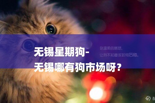 無錫星期狗-
無錫哪有狗市場呀？