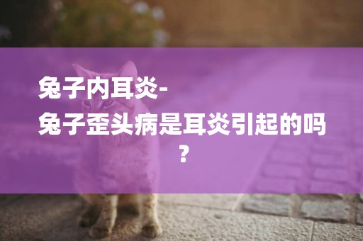 兔子內耳炎-
兔子歪頭病是耳炎引起的嗎？