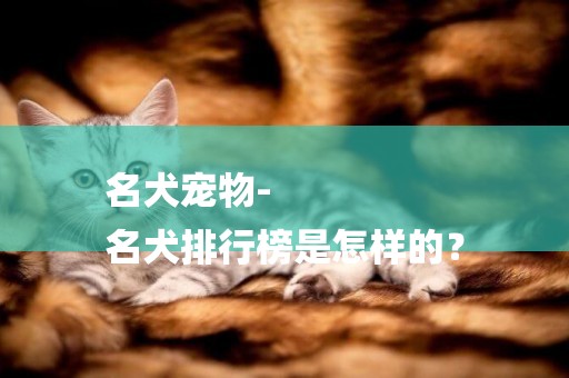 名犬寵物-
名犬排行榜是怎樣的？