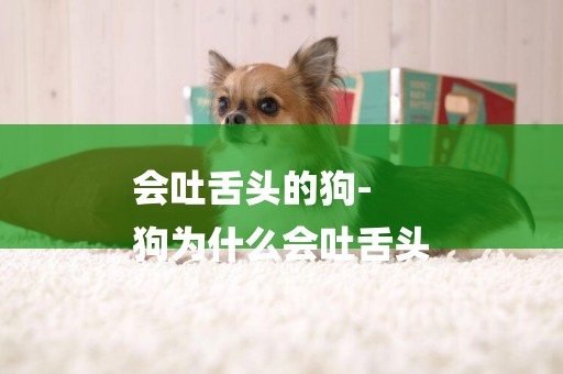 會吐舌頭的狗-
狗為什么會吐舌頭