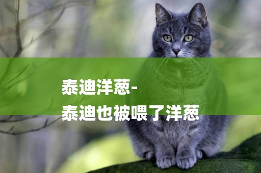 泰迪洋蔥-
泰迪也被喂了洋蔥