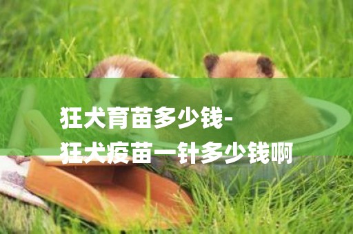狂犬育苗多少錢-
狂犬疫苗一針多少錢啊