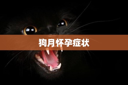 狗月懷孕癥狀