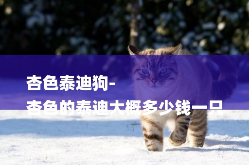 杏色泰迪狗-
杏色的泰迪大概多少錢一只