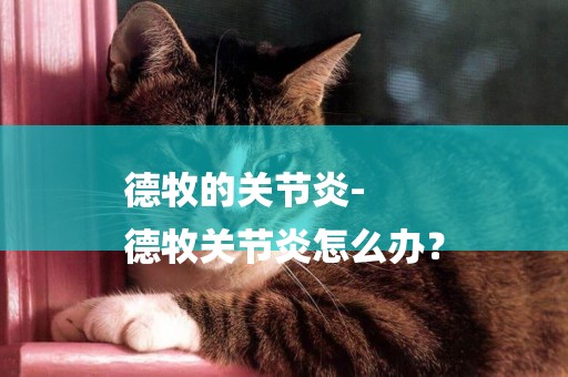 德牧的關節炎-
德牧關節炎怎么辦？