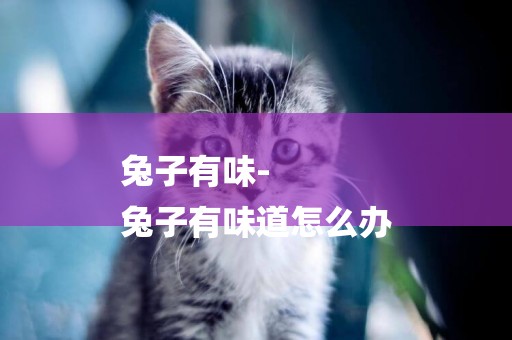 兔子有味-
兔子有味道怎么辦
