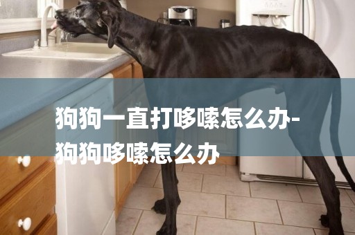 狗狗一直打哆嗦怎么辦-
狗狗哆嗦怎么辦